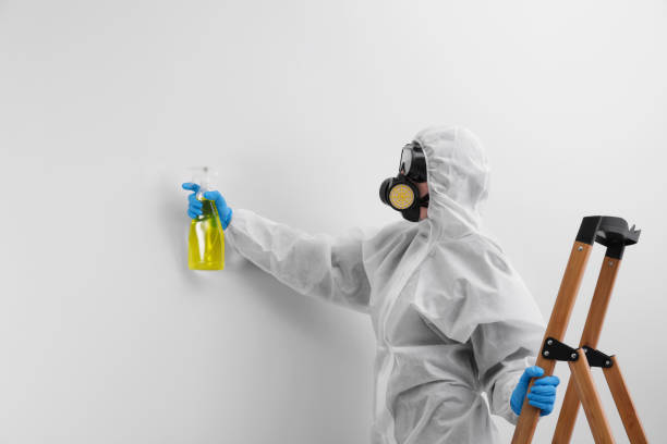 Best Forensic Mold Investigation in USA